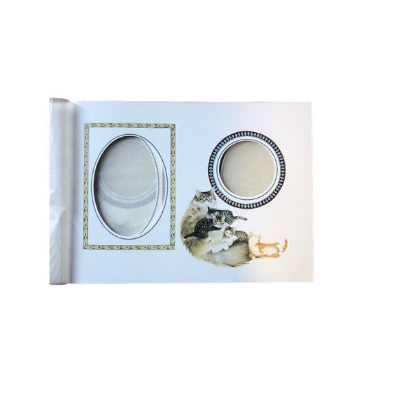 Lesley Anne Ivory Cats Photo Album - Picture 3 of 4